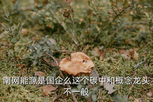 南網(wǎng)能源是國(guó)企么這個(gè)碳中和概念龍頭不一般