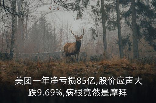  美團(tuán)一年凈虧損85億,股價(jià)應(yīng)聲大跌9.69%,病根竟然是摩拜