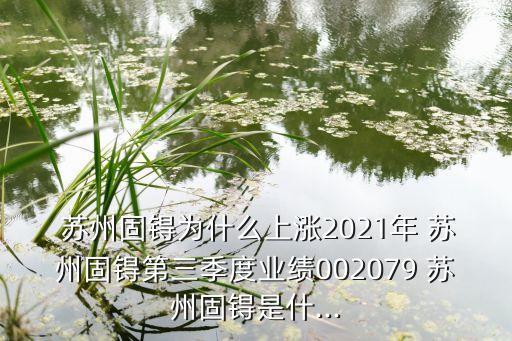  蘇州固锝為什么上漲2021年 蘇州固锝第三季度業(yè)績002079 蘇州固锝是什...