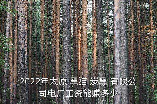 2022年太原 黑貓 炭黑 有限公司電廠工資能賺多少