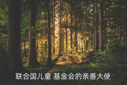 聯(lián)合國兒童 基金會(huì)的親善大使