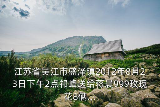 江蘇省吳江市盛澤鎮(zhèn)2012年8月23日下午2點(diǎn)祁峰送給蔣晨999玫瑰花8倆...