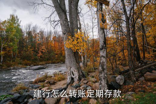 建行怎么轉(zhuǎn)賬定期存款