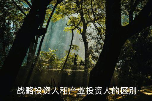  戰(zhàn)略投資人和產業(yè)投資人的區(qū)別