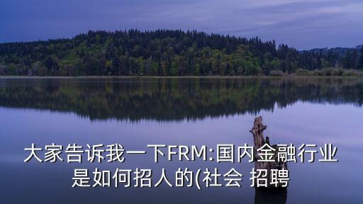 大家告訴我一下FRM:國(guó)內(nèi)金融行業(yè)是如何招人的(社會(huì) 招聘