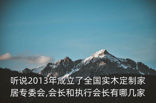 聽說2013年成立了全國實(shí)木定制家居專委會(huì),會(huì)長和執(zhí)行會(huì)長有哪幾家