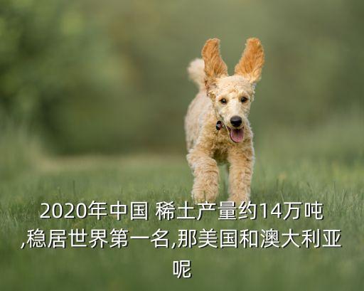 2020年中國(guó) 稀土產(chǎn)量約14萬(wàn)噸,穩(wěn)居世界第一名,那美國(guó)和澳大利亞呢