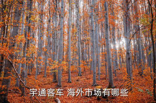 宇通海外公司,宇通集團(tuán)海外崗怎么樣