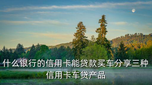 民生銀行惠民信貸卡,王潤峰民生銀行信貸部