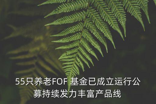 55只養(yǎng)老FOF 基金已成立運行公募持續(xù)發(fā)力豐富產(chǎn)品線