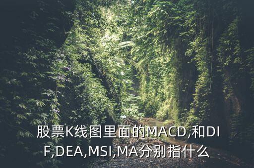  股票K線圖里面的MACD,和DIF,DEA,MSI,MA分別指什么