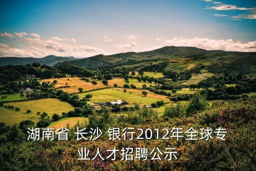 湖南省 長沙 銀行2012年全球?qū)I(yè)人才招聘公示