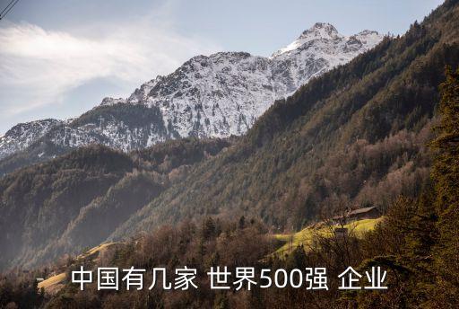 2009年世界五百?gòu)?qiáng)的中國(guó)企業(yè),世界五百?gòu)?qiáng)中國(guó)第一