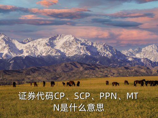 證券代碼CP、SCP、PPN、MTN是什么意思