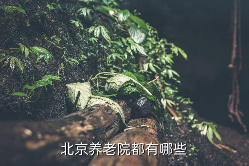 北京養(yǎng)老院都有哪些