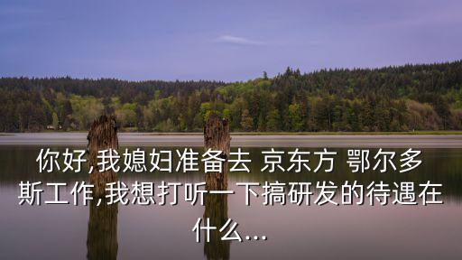 你好,我媳婦準(zhǔn)備去 京東方 鄂爾多斯工作,我想打聽一下搞研發(fā)的待遇在什么...