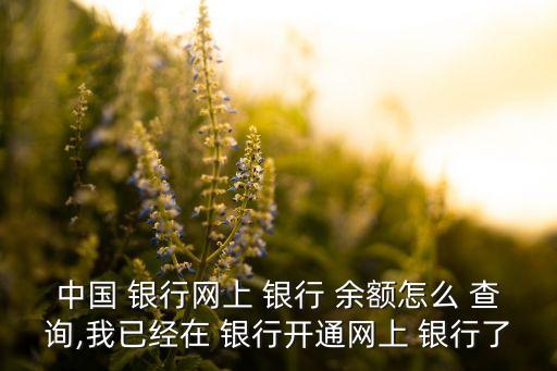 中國 銀行網(wǎng)上 銀行 余額怎么 查詢,我已經(jīng)在 銀行開通網(wǎng)上 銀行了