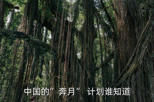 中國的”奔月” 計(jì)劃誰知道