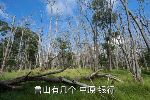 魯山有幾個(gè) 中原 銀行