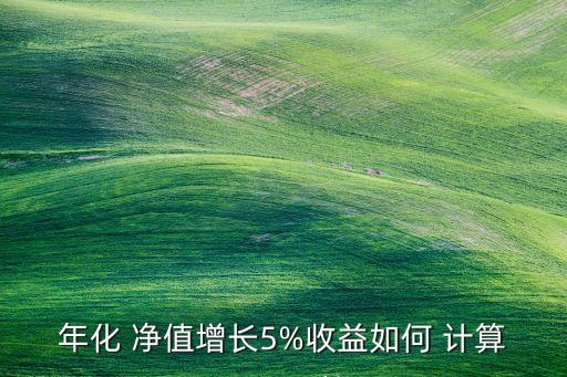 年化 凈值增長5%收益如何 計算