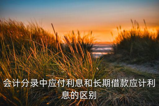 會計分錄中應(yīng)付利息和長期借款應(yīng)計利息的區(qū)別