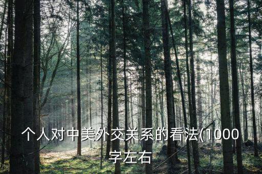 個人對中美外交關(guān)系的看法(1000字左右