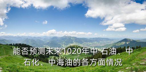 能否預(yù)測(cè)未來(lái)1020年中 石油、中石化、中海油的各方面情況