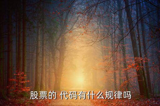  股票的 代碼有什么規(guī)律嗎