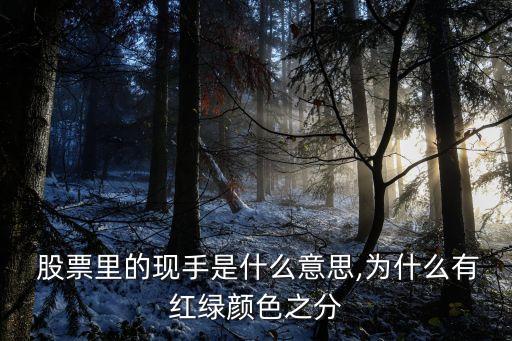  股票里的現(xiàn)手是什么意思,為什么有紅綠顏色之分