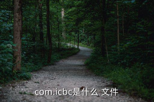 com.icbc是什么 文件