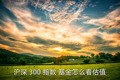 滬深 300 指數(shù) 基金怎么看估值