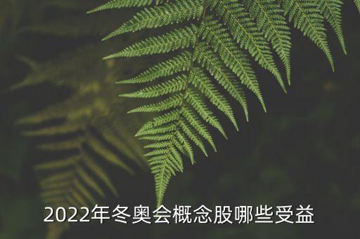 2022年冬奧會概念股哪些受益