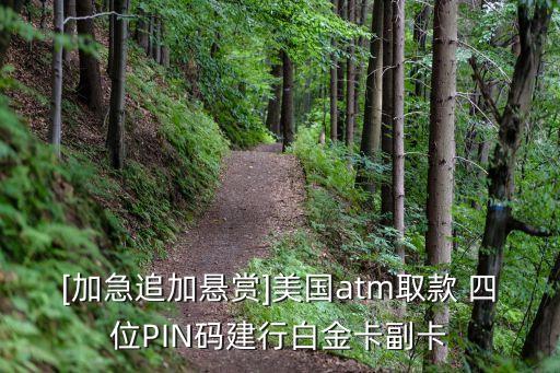 [加急追加懸賞]美國atm取款 四位PIN碼建行白金卡副卡