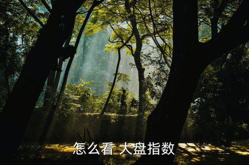 在哪里看股票大盤,股票大盤走勢圖在哪里