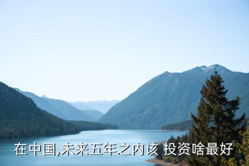 在中國(guó),未來(lái)五年之內(nèi)該 投資啥最好