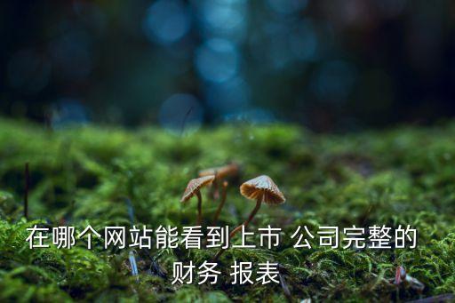 在哪個網(wǎng)站能看到上市 公司完整的 財務(wù) 報表