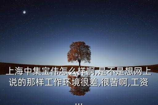 上海中集寶偉怎么樣啊,是不是想網(wǎng)上說(shuō)的那樣工作環(huán)境很差,很苦啊,工資...