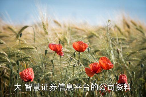 大 智慧證券信息平臺(tái)的公司資料