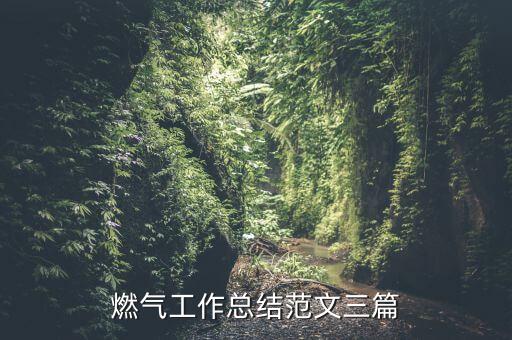 燃?xì)夤ぷ骺偨Y(jié)范文三篇