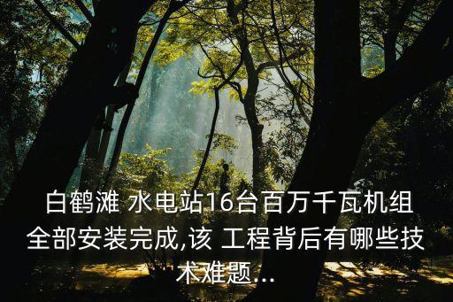 中國電建中標白鶴灘水電站工程,白鶴灘水電站中國電建幾局建設(shè)