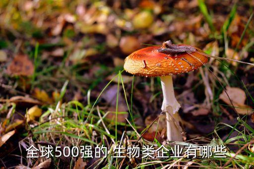 全球500強(qiáng)的 生物類企業(yè)有哪些