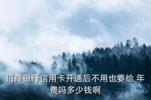 招商銀行信用卡開通后不用也要給 年費嗎多少錢啊