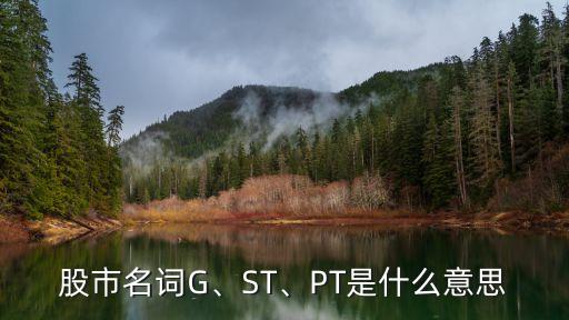 股市名詞G、ST、PT是什么意思