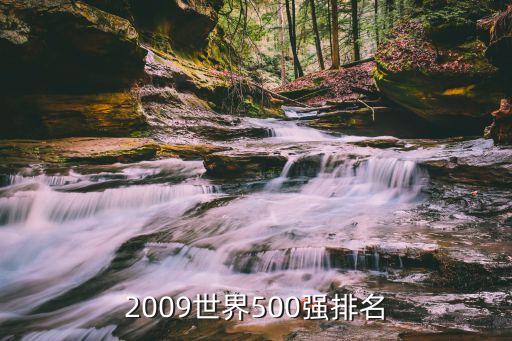 2009世界500強(qiáng)排名