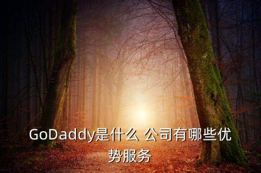 GoDaddy是什么 公司有哪些優(yōu)勢(shì)服務(wù)