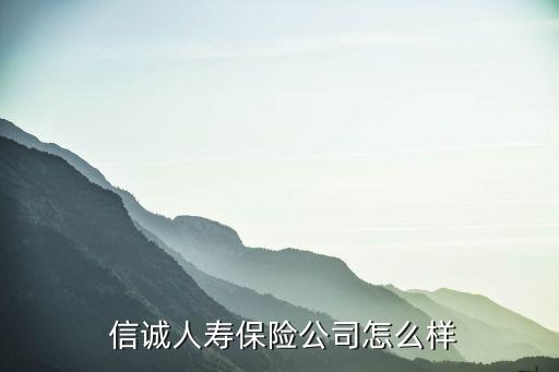  信誠人壽保險(xiǎn)公司怎么樣