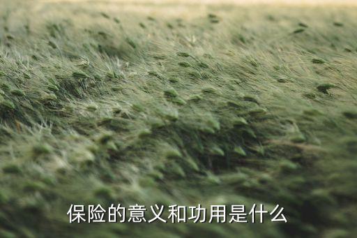 保險(xiǎn)的意義和功用是什么