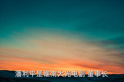 潘利平是誰(shuí)南大光電副 董事長(zhǎng)