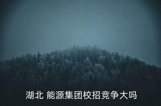  湖北 能源集團校招競爭大嗎