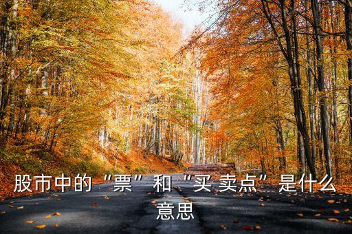 股市中的“票”和“買 賣點(diǎn)”是什么意思